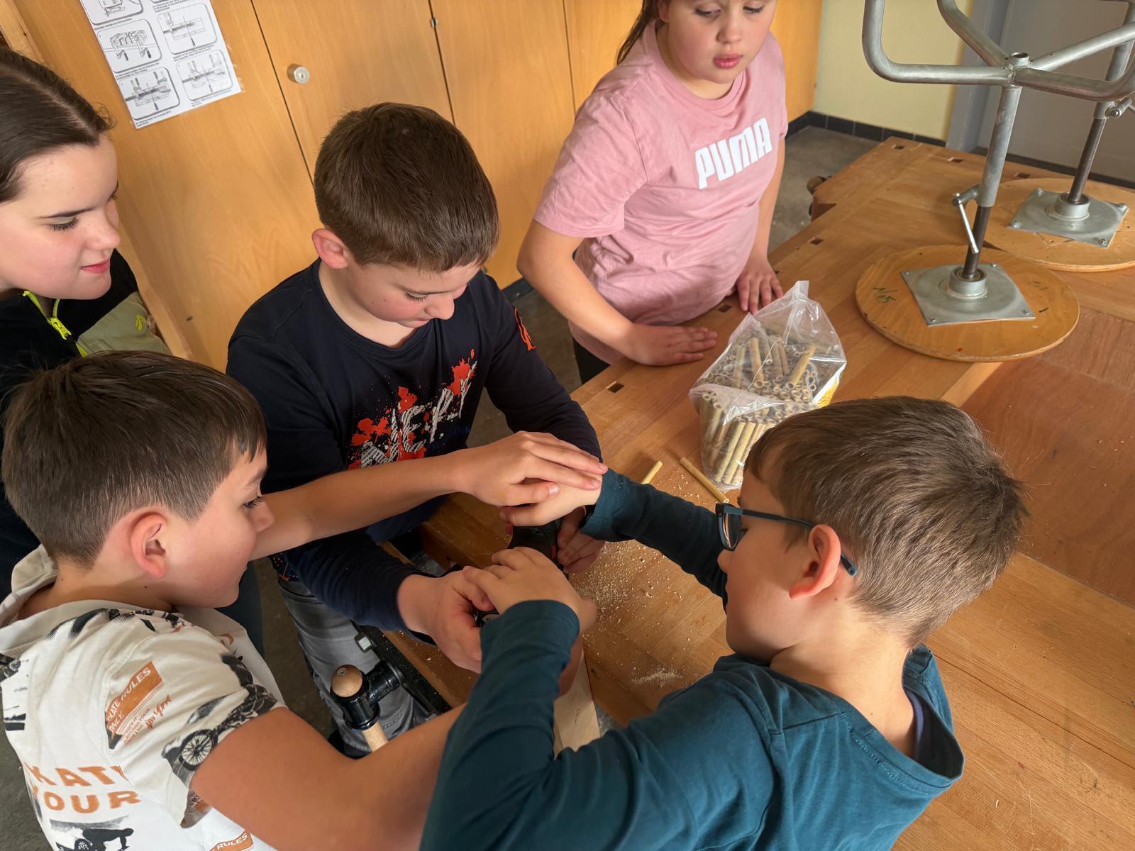 Insektenhotel bohren